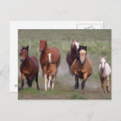 Kommen Sie zu Ihnen Postkarte (Vorne/Hinten)