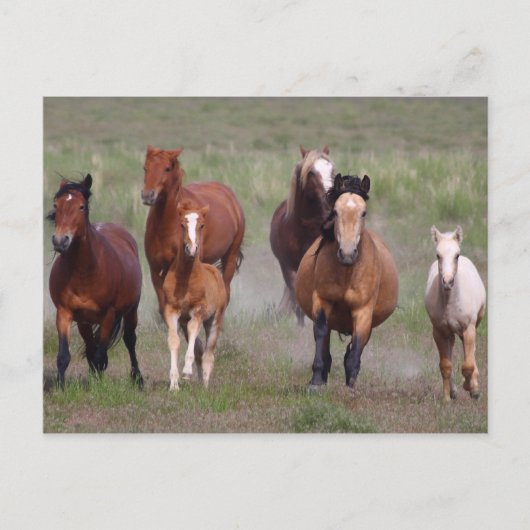 Kommen Sie zu Ihnen Postkarte (Vorderseite)