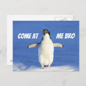 Kommen Sie zu Me Bro Meme Pinguin Postcard Postkarte (Vorne/Hinten)
