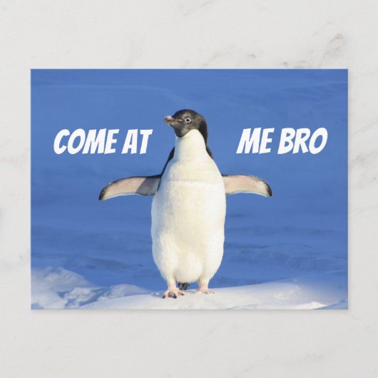 Kommen Sie zu Me Bro Meme Pinguin Postcard Postkarte (Vorderseite)