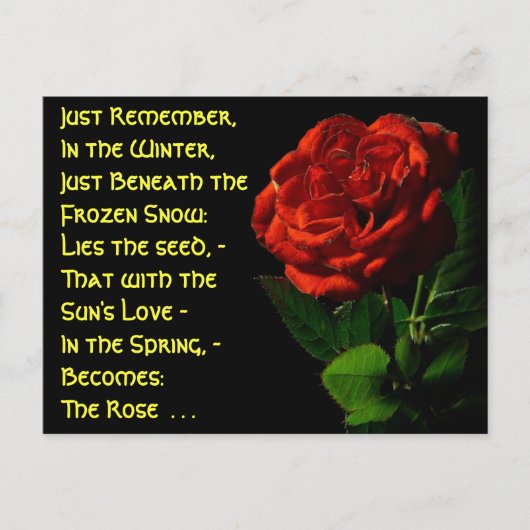 Kommen Sie zu Rose... Postkarte (Vorderseite)