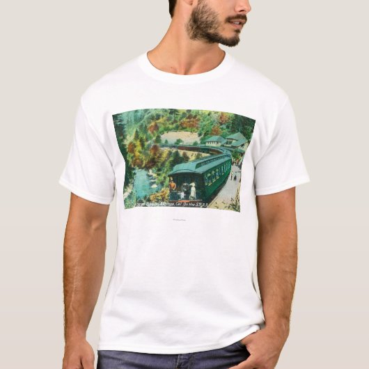 Kommen zu den Frühlingen T-Shirt (Vorderseite)
