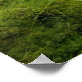 kommende Zuhause Poster (Ecke)