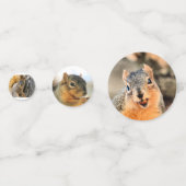 Kommst du nicht? Eichhörnchen Konfetti (Vorderseiten)