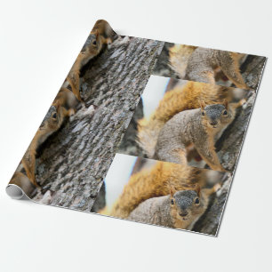 Kommst du nicht? geschenkpapier