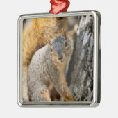 Kommst du nicht? ornament aus metall (Links)