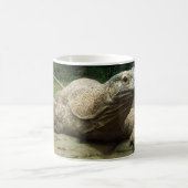 Komodo Drache Kaffeetasse (Mittel)