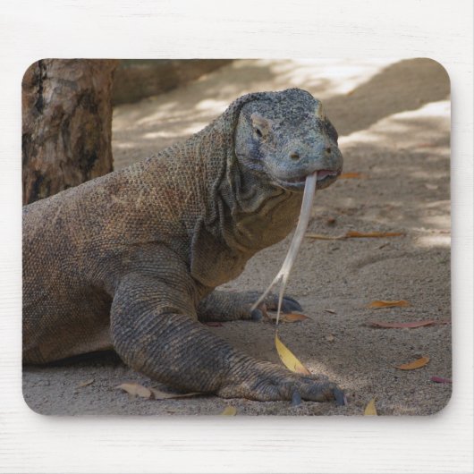 Komodo Drache-Lecken Mousepad (Vorne)