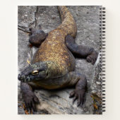 Komodo-Drache-Naturjournal Notizblock (Rückseite)