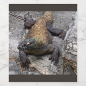 Komodo-Drache Rustikales Terrain Weinetikett (Einzelnes Label)