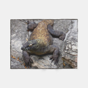 Komodo-Drache Wärmt Sich Auf Felsen Fleecedecke