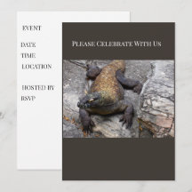 Komodo-Drachen-Event-Einladung