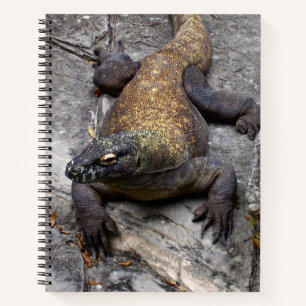 Komodo-Drachen Natur Journal Notizblock