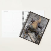 Komodo-Drachen-Naturplaner Planer (Anzeige)