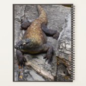 Komodo-Drachen-Naturplaner Planer (Rückseite)