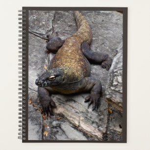 Komodo-Drachen-Naturplaner Planer