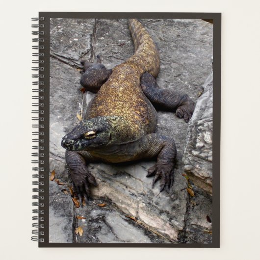 Komodo-Drachen-Naturplaner Planer (Vorderseite)