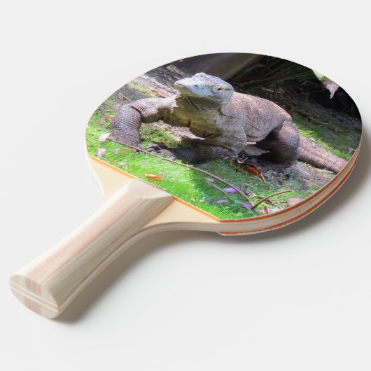 Komodo Drachenpongpaddel Tischtennis Schläger (Vorderseite)