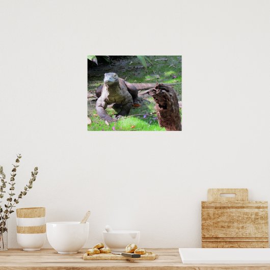Komodo Dragon (0606) Poster (Küche)