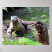 Komodo Dragon (0606) Poster (Vorne)