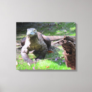 Komodo Dragon (0606) Wrapped Canvas Leinwanddruck