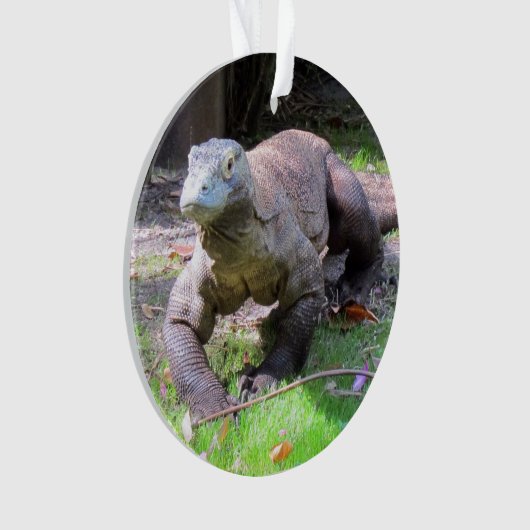 Komodo Dragon - Akrylorische Ornamente (Vorderseite)