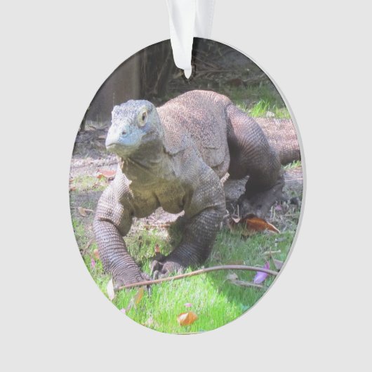 Komodo Dragon - Akrylorische Ornamente (Vorderseite)