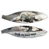 Komodo Dragon Basketball - Dare to Play Wild! (Panele)