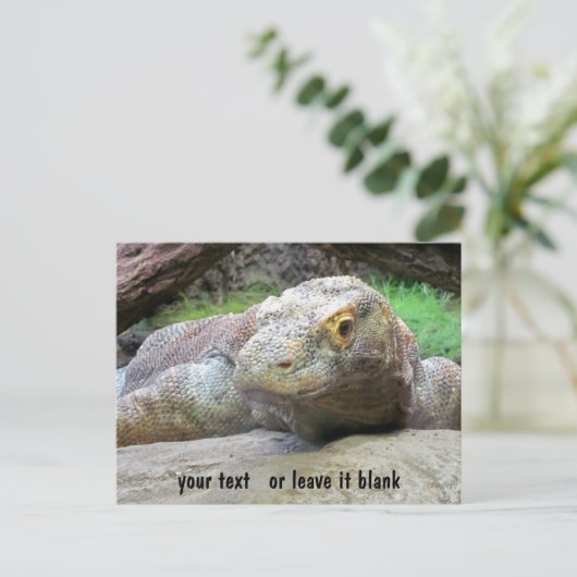 Komodo Dragon Gesicht mit Ihrem Text Postkarte (Stehend Vorderseite)