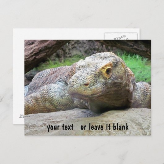 Komodo Dragon Gesicht mit Ihrem Text Postkarte (Vorne/Hinten)