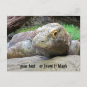 Komodo Dragon Gesicht mit Ihrem Text Postkarte (Vorderseite)