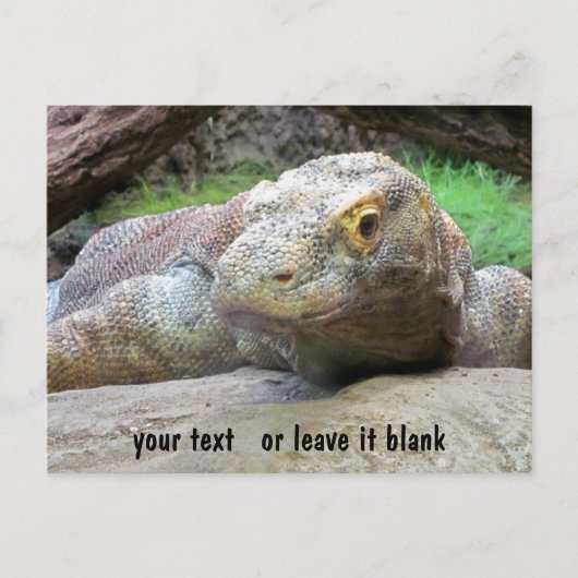 Komodo Dragon Gesicht mit Ihrem Text Postkarte (Vorderseite)