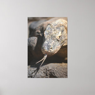 Komodo Dragon hält seine Zunge fest Leinwanddruck