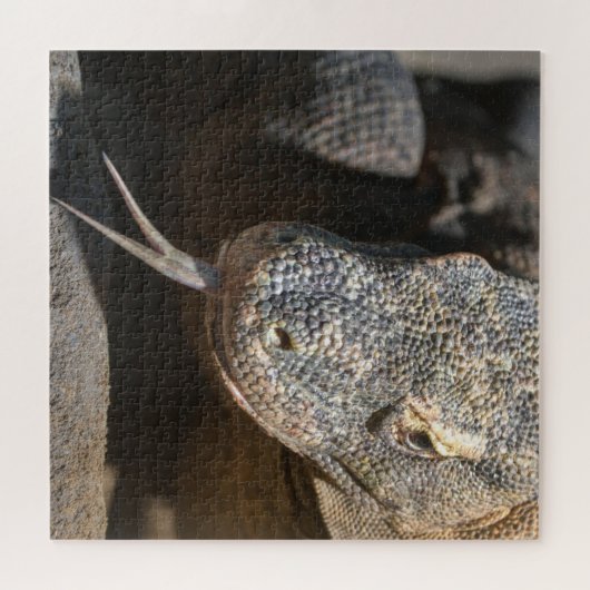 Komodo Dragon hält seine Zunge fest Puzzle (Horizontal)