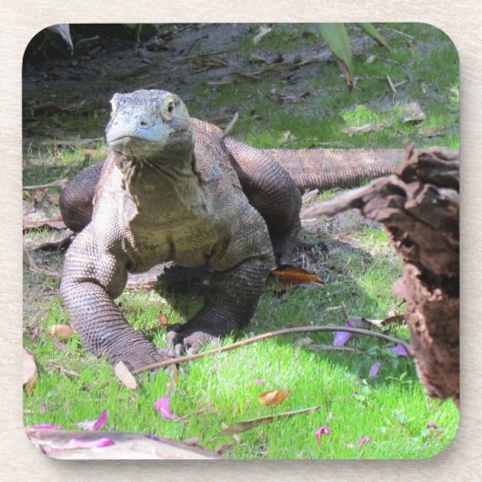 Komodo Dragon Hard Plastic / Cork Untersetzer (Vorderseite)