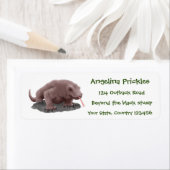 Komodo Dragon Illustration (Insitu)