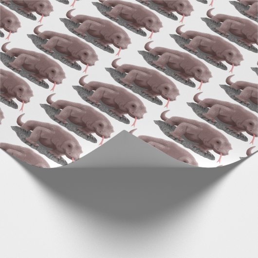 Komodo Dragon Illustration Geschenkpapier (Ecke)