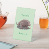 Komodo Dragon Illustration Sockelschild (In SItu)