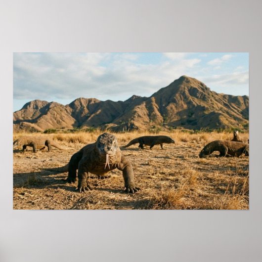 Komodo Dragon Indonesia National Park Wildlife Art Poster (Vorne)