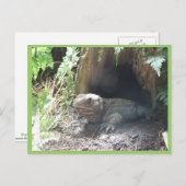 Komodo Dragon kommt aus seiner Zuhause unter Baum Postkarte (Vorne/Hinten)