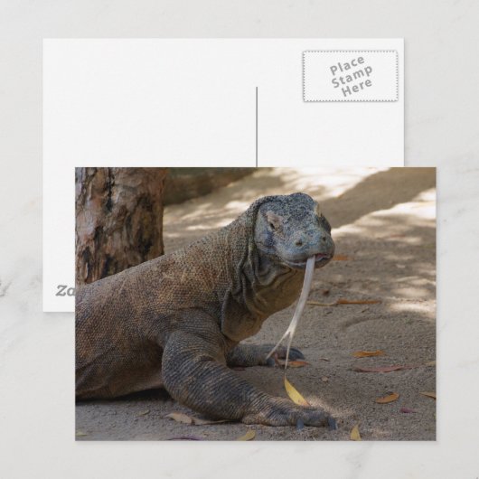 Komodo Dragon Licking Postkarte (Vorne/Hinten)
