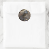 Komodo Dragon Licking Runder Aufkleber (Tasche)