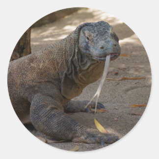 Komodo Dragon Licking Runder Aufkleber