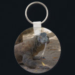 Komodo Dragon Licking Schlüsselanhänger<br><div class="desc">Komodo Dragon Licking</div>