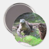 Komodo Dragon Magnet (Vorderseite/Rückseite)