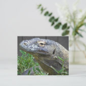 Komodo Dragon Nah Postkarte (Stehend Vorderseite)