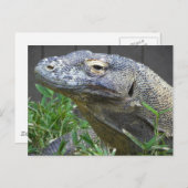 Komodo Dragon Nah Postkarte (Vorne/Hinten)