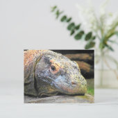 Komodo Dragon Nah-Up-Profil Postkarte (Stehend Vorderseite)