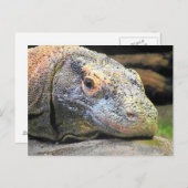 Komodo Dragon Nah-Up-Profil Postkarte (Vorne/Hinten)