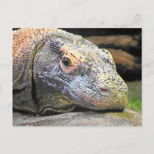 Komodo Dragon Nah-Up-Profil Postkarte (Vorderseite)